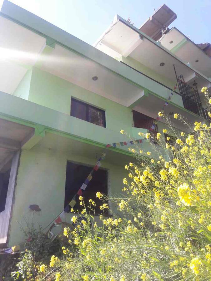 נגאקוט Hotel Greenland מראה חיצוני תמונה